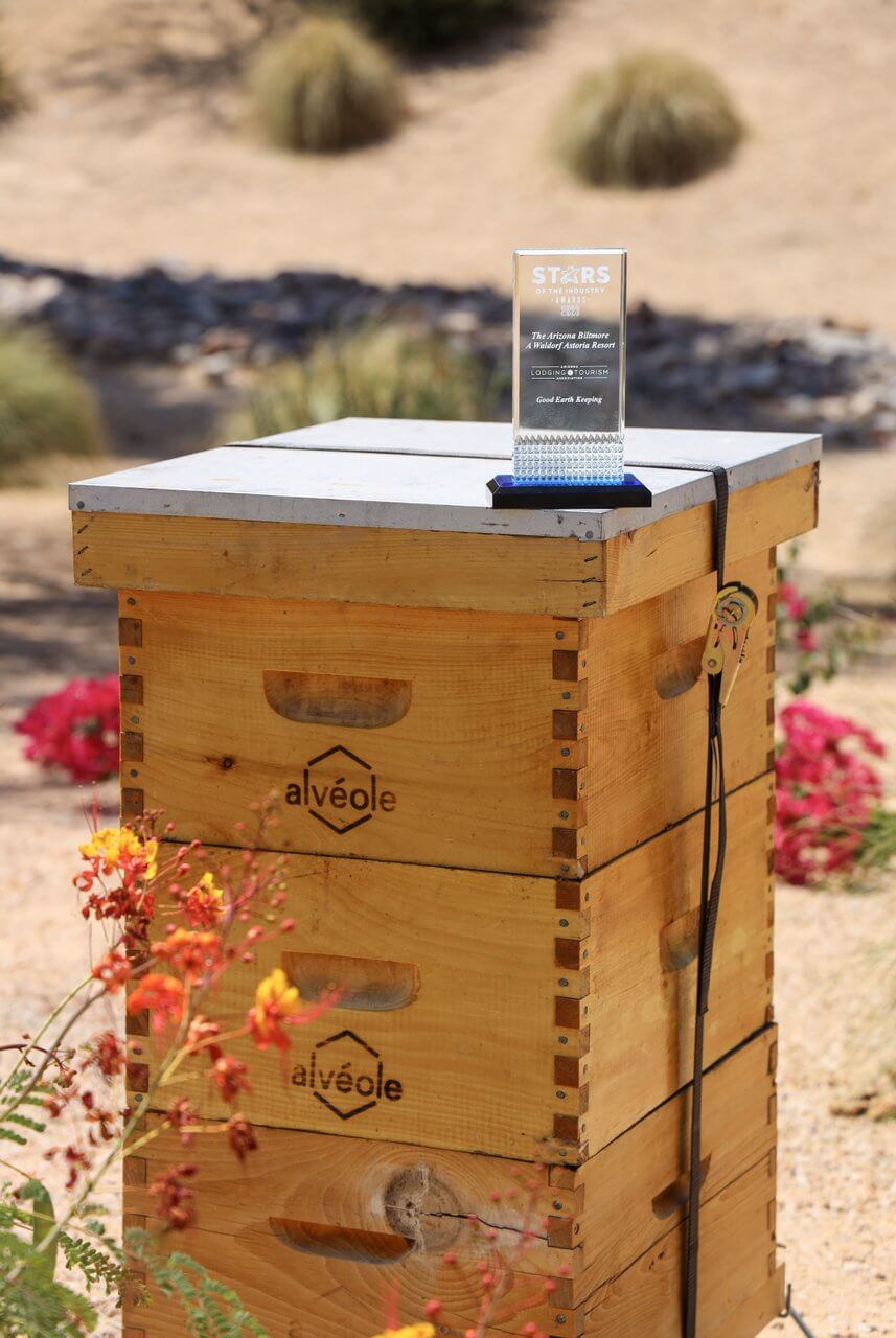 Independence Day, Tierra Luna Spa&rsquo;s Sun Worshipper Mud & Alchemy Treatment