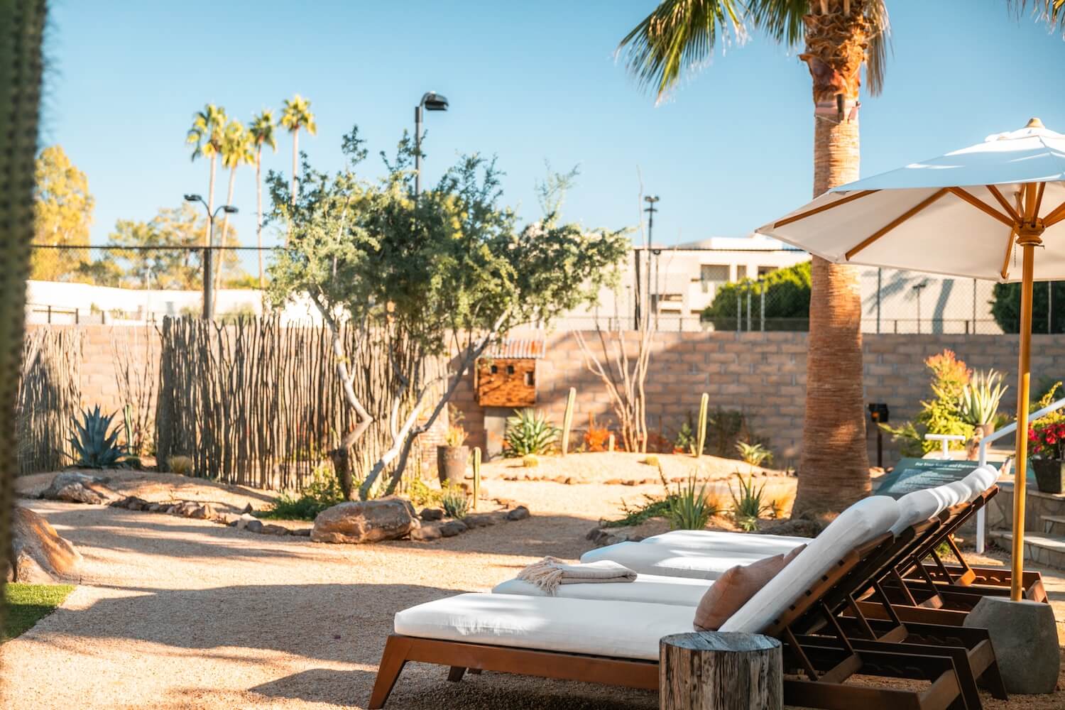 A serene backyard garden with lounge chairs under white umbrellas, surrounded by desert plants and a tall wooden fence. Several palm trees are visible under a clear blue sky.