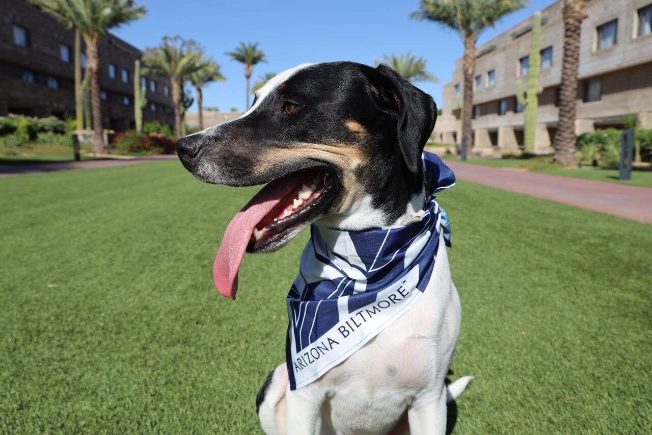 Holiday Gift Guide, Arizona Biltmore Holiday Gift Guide