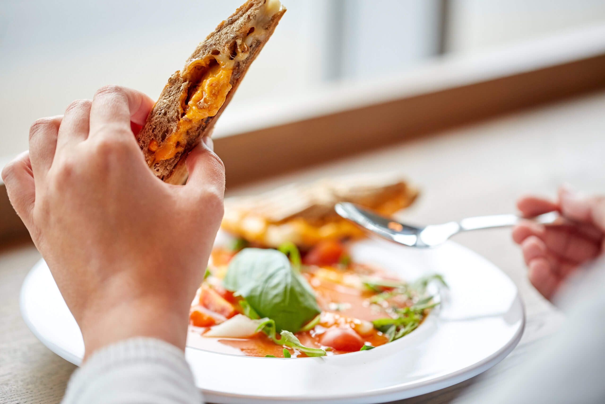 A person holds a grilled cheese sandwich in one hand while using a fork with the other. The sandwich is partially eaten, with melted cheese visible. On the plate, there is a tomato and basil salad drizzled with dressing, garnished with greens.