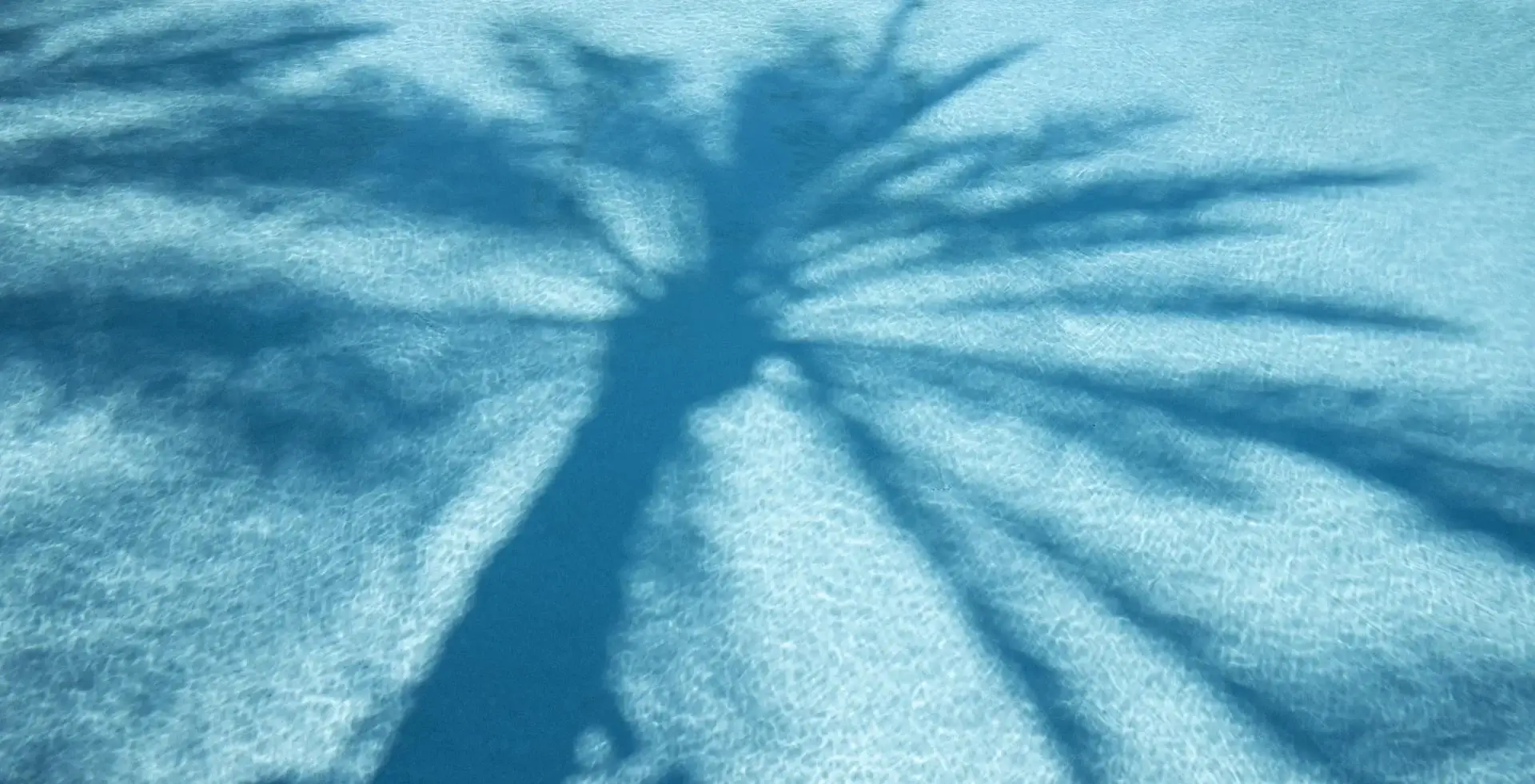 A shadow of a palm tree is cast against a textured light blue background, creating a silhouette with extending fronds. The sunlight is bright, emphasizing the distinct outline and patterns of the palm fronds in the shadow, reminiscent of serene afternoons by resort pools.
